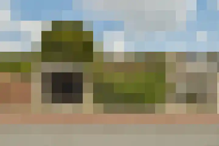 Wilhelminaweg 14 Zandvoort thumbnail 5