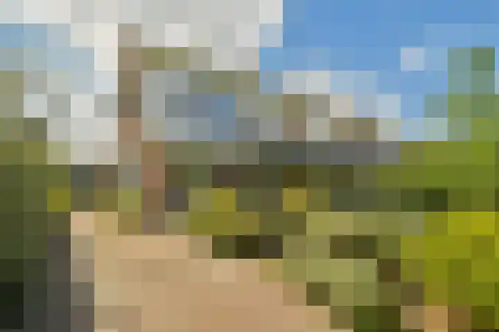 Wilhelminaweg 14 Zandvoort thumbnail 7