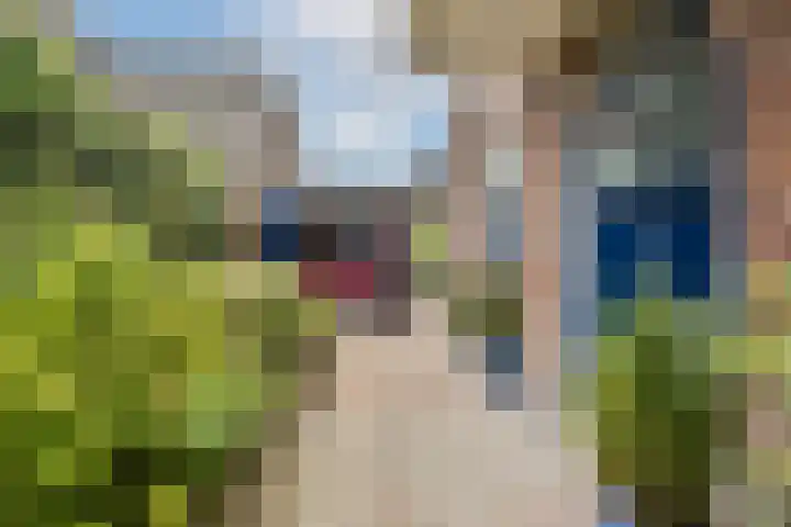 Wilhelminaweg 14 Zandvoort thumbnail 8