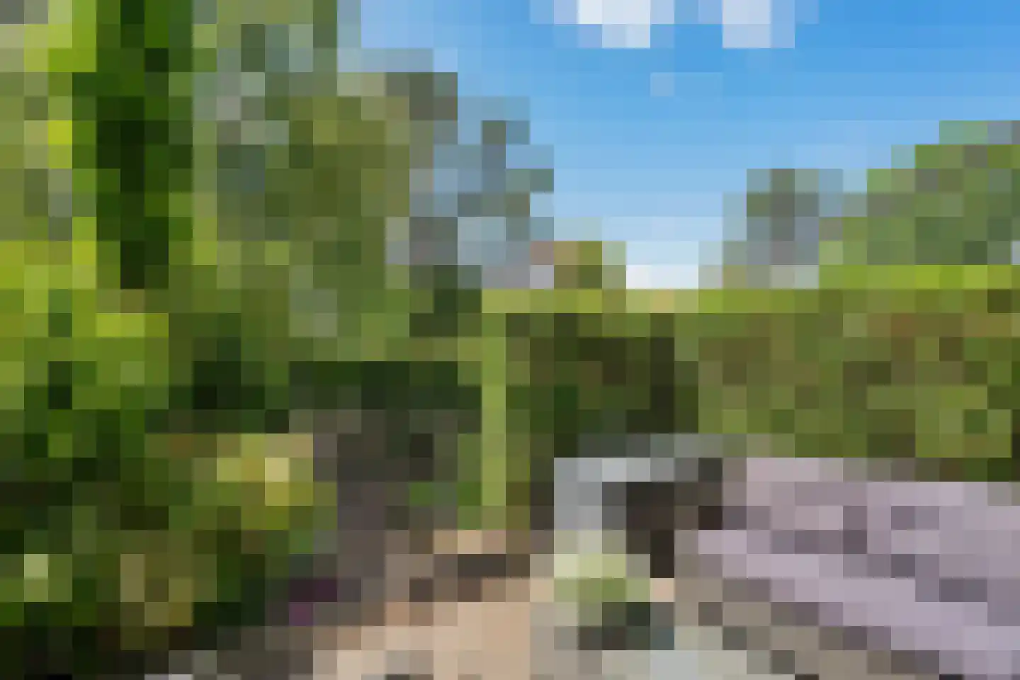 Wilhelminaweg 19 Zandvoort thumbnail 11