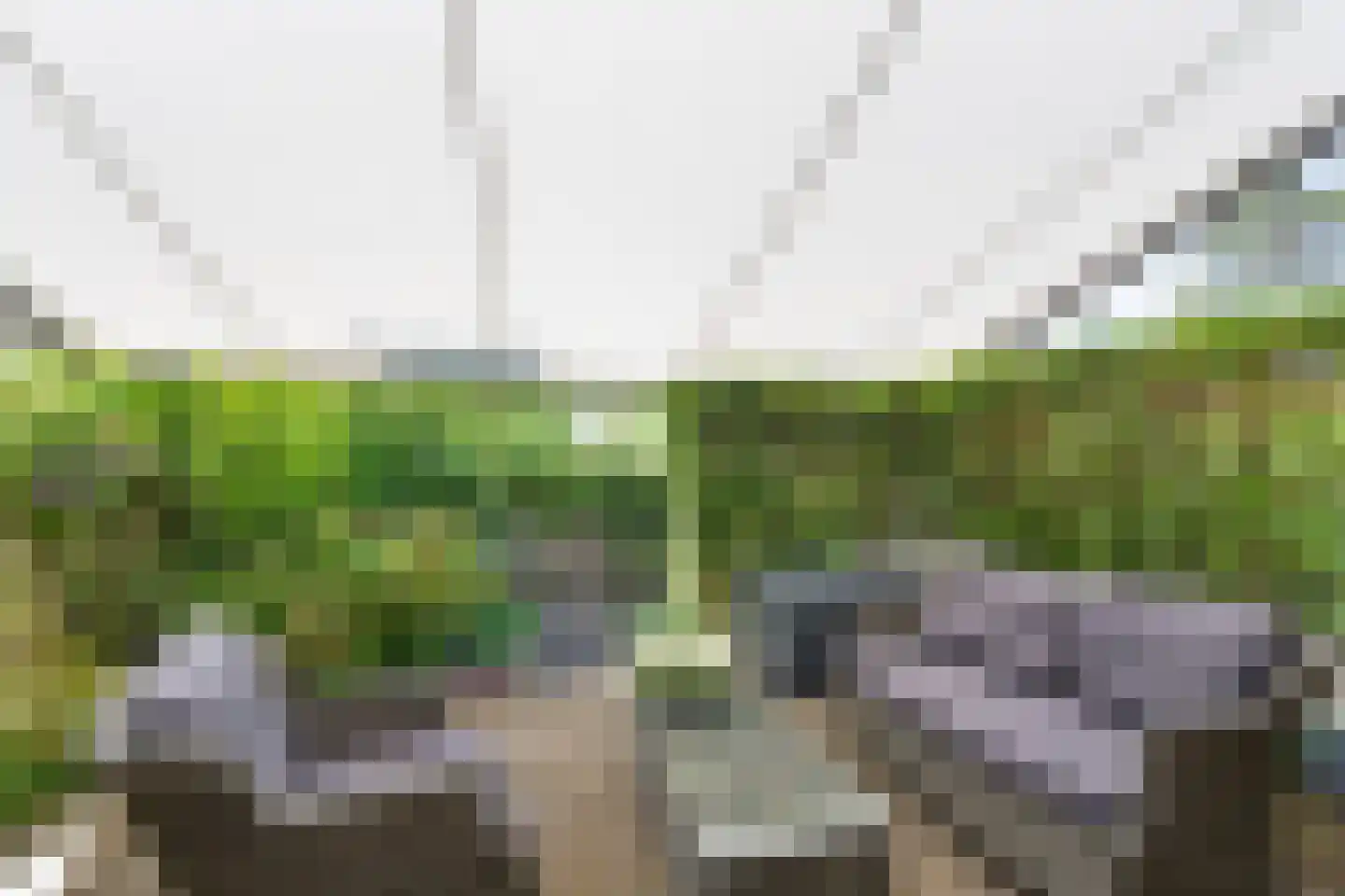 Wilhelminaweg 19 Zandvoort thumbnail 13