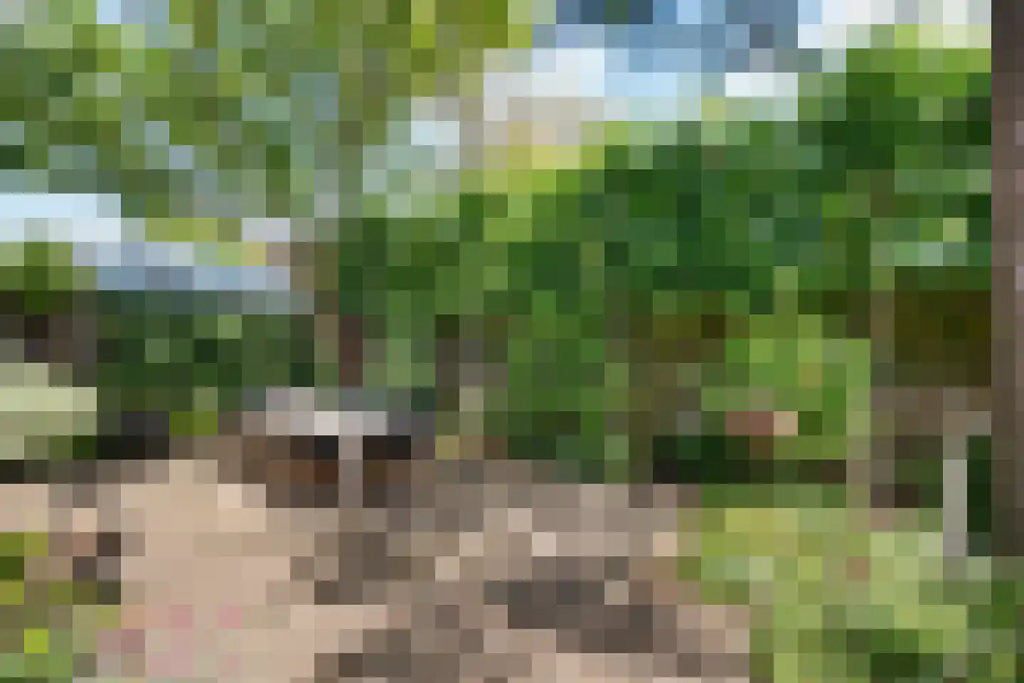 Wilhelminaweg 19 Zandvoort thumbnail 23