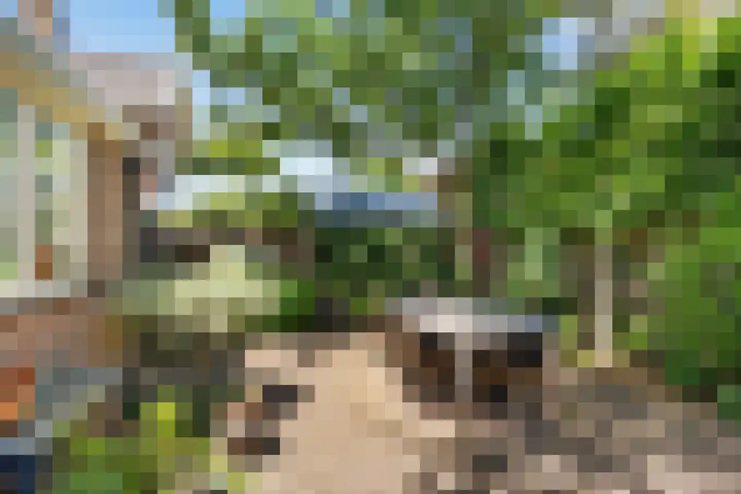 Wilhelminaweg 19 Zandvoort thumbnail 24