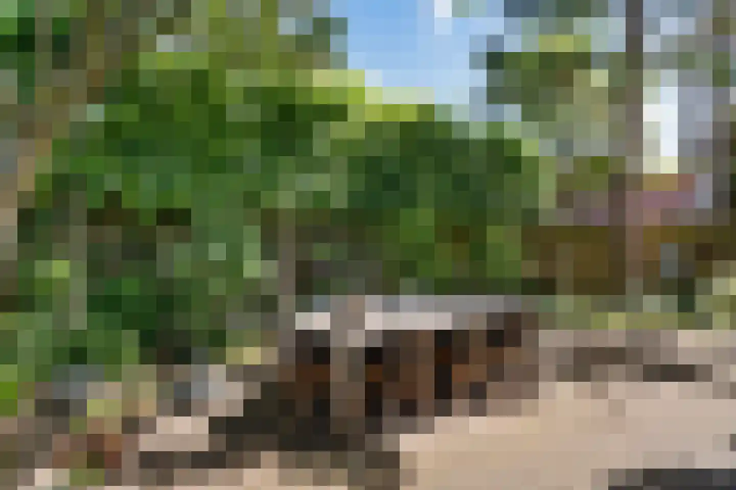 Wilhelminaweg 19 Zandvoort thumbnail 25