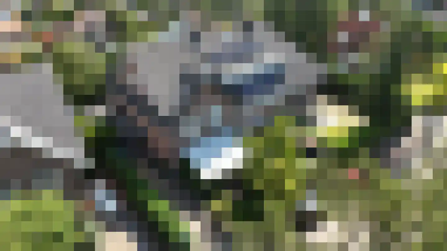 Wilhelminaweg 19 Zandvoort thumbnail 48
