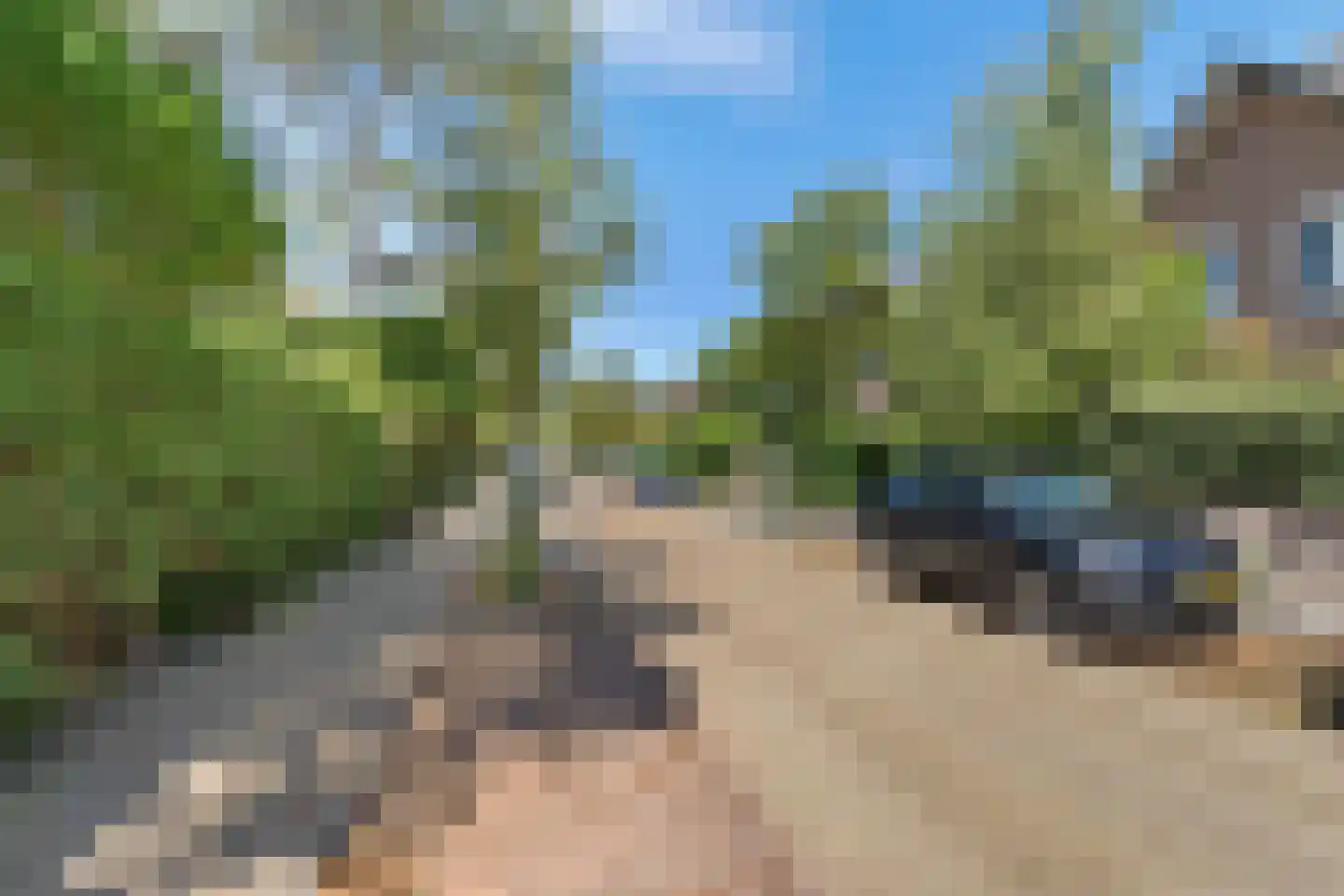 Wilhelminaweg 19 Zandvoort thumbnail 49