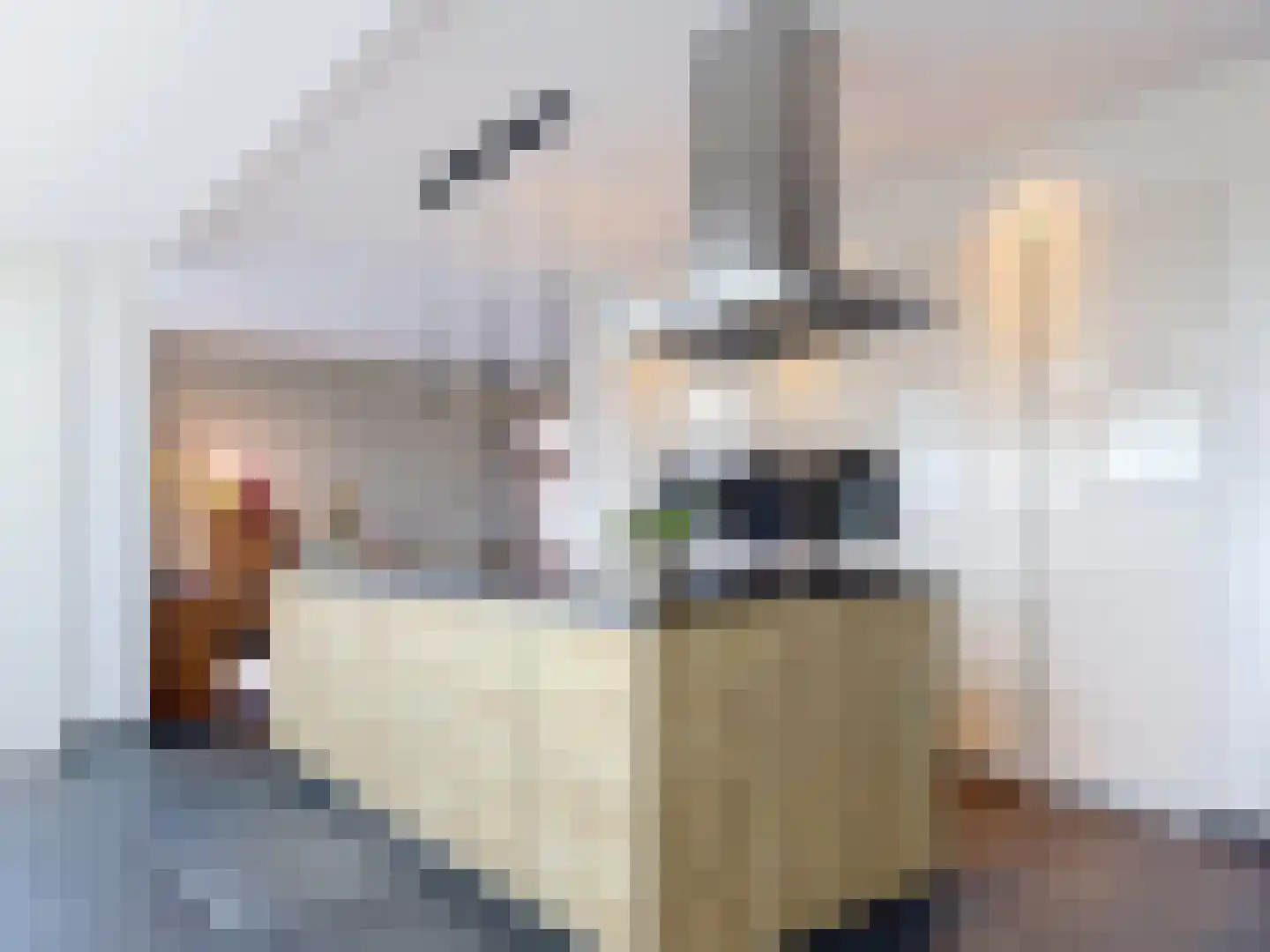 Wilhelminaweg 2 Sint Kruis thumbnail 23