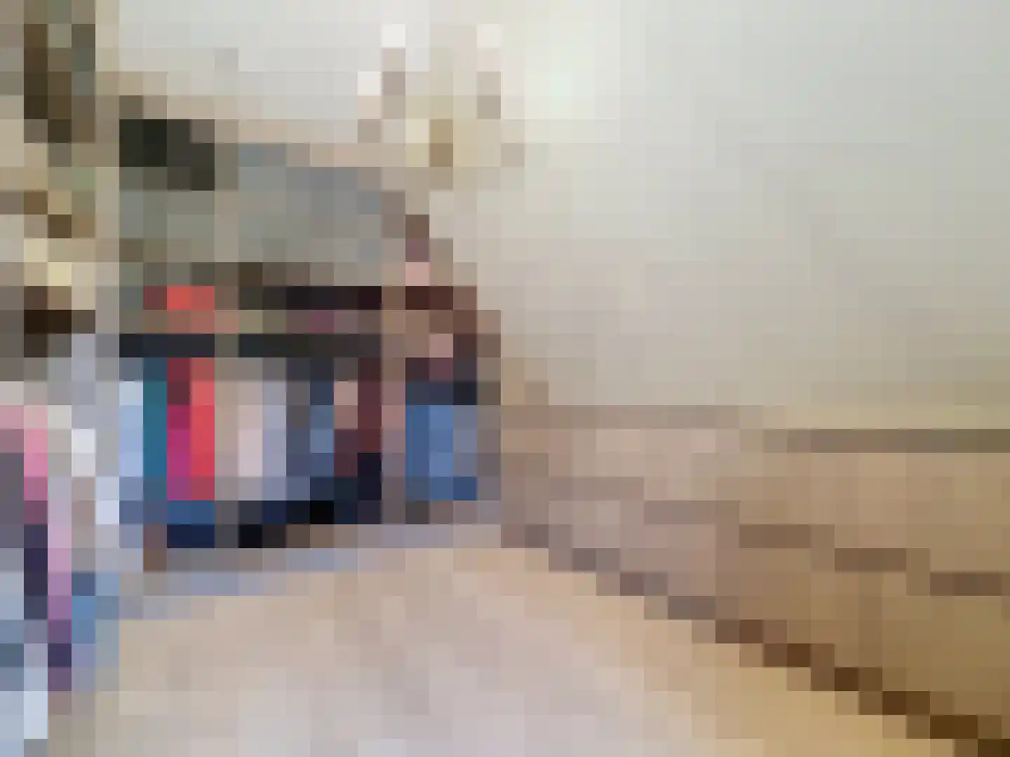 Wilhelminaweg 2 Sint Kruis thumbnail 31