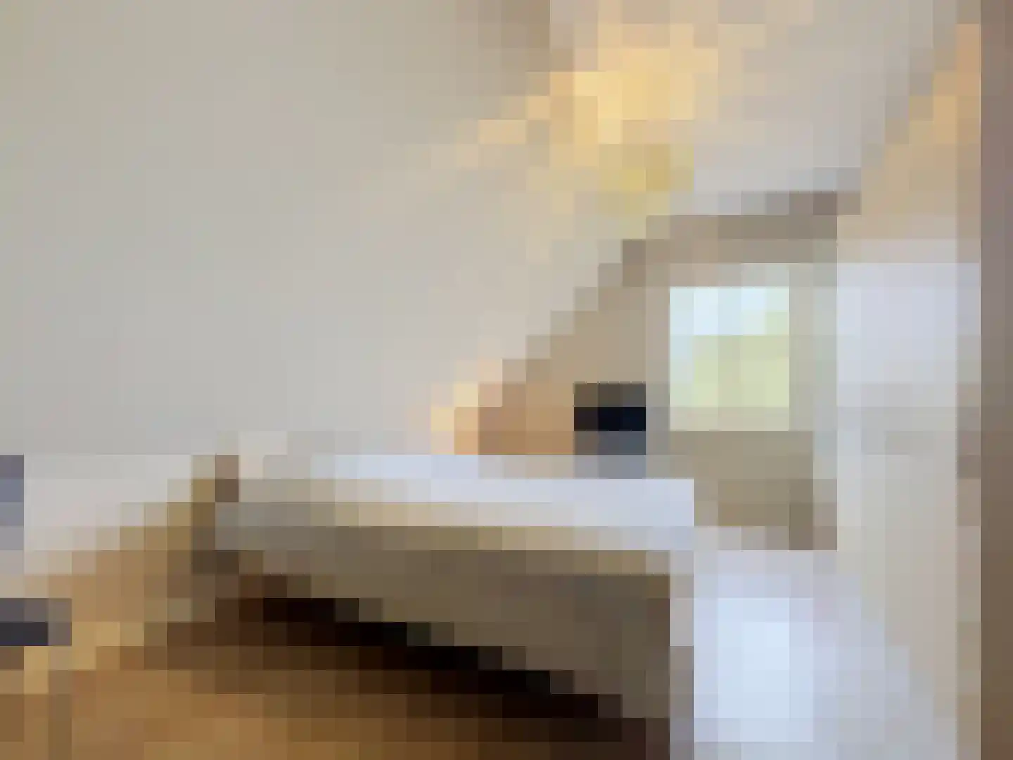 Wilhelminaweg 2 Sint Kruis thumbnail 40