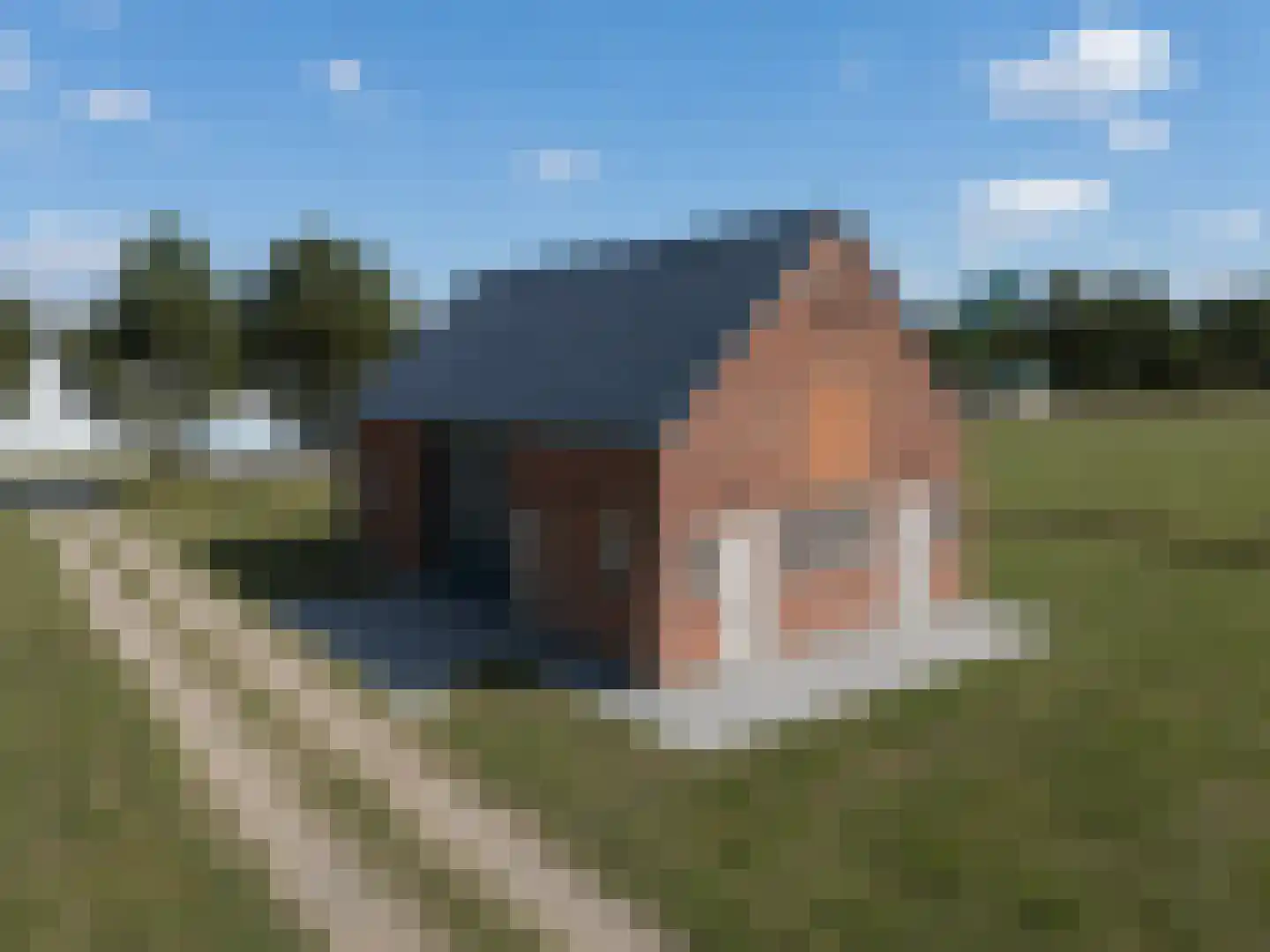 Wilhelminaweg 2 Sint Kruis thumbnail 42