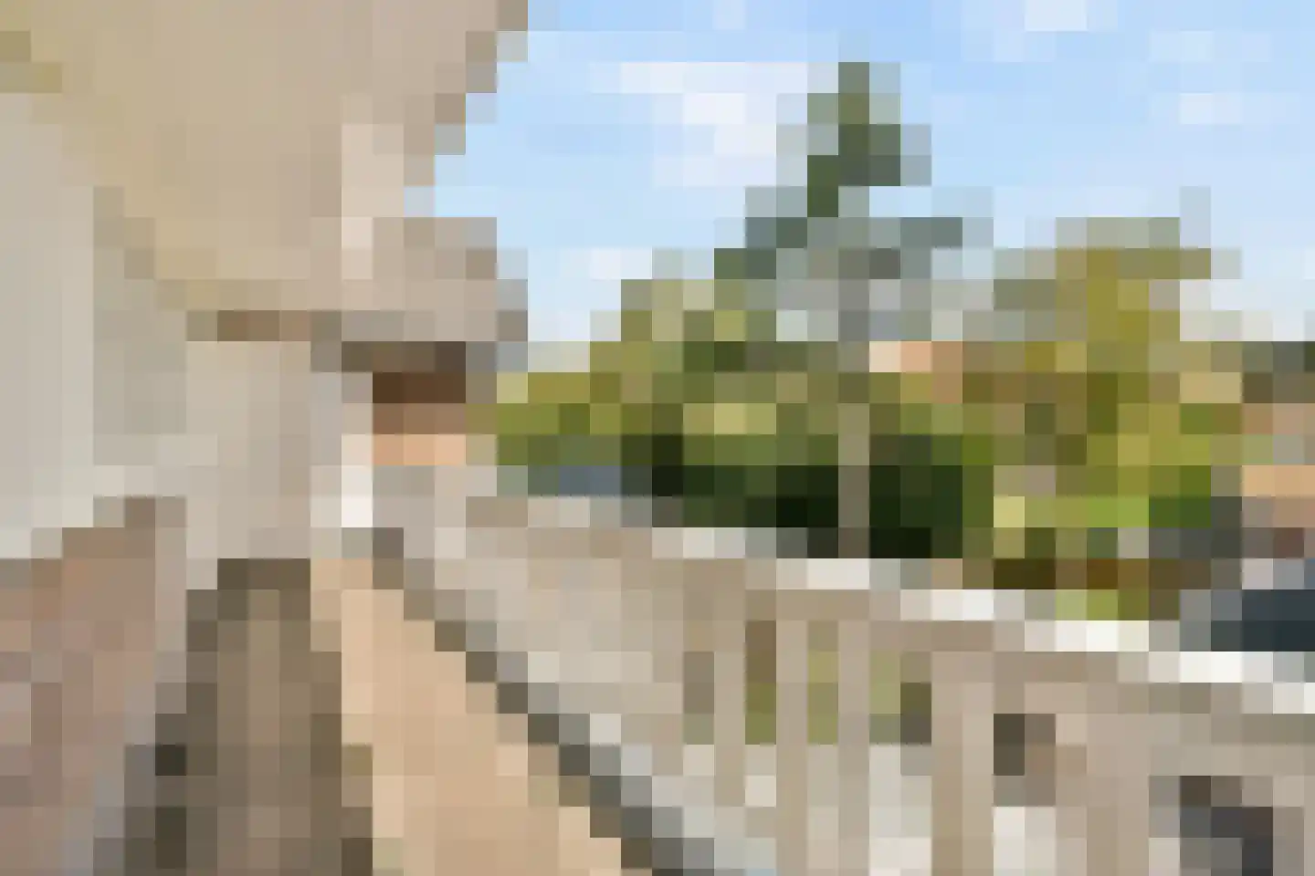 Wilhelminaweg 21 Zandvoort thumbnail 26