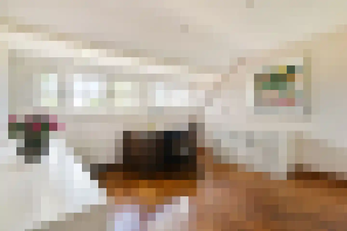 Wilhelminaweg 21 Zandvoort thumbnail 39