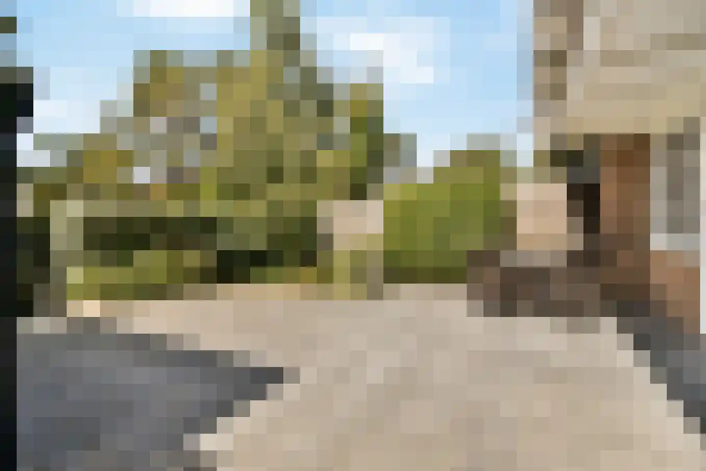 Wilhelminaweg 21 Zandvoort thumbnail 6