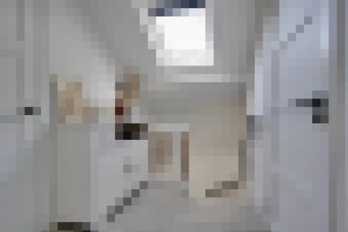 Wilhelminaweg 22 Ouddorp thumbnail 16