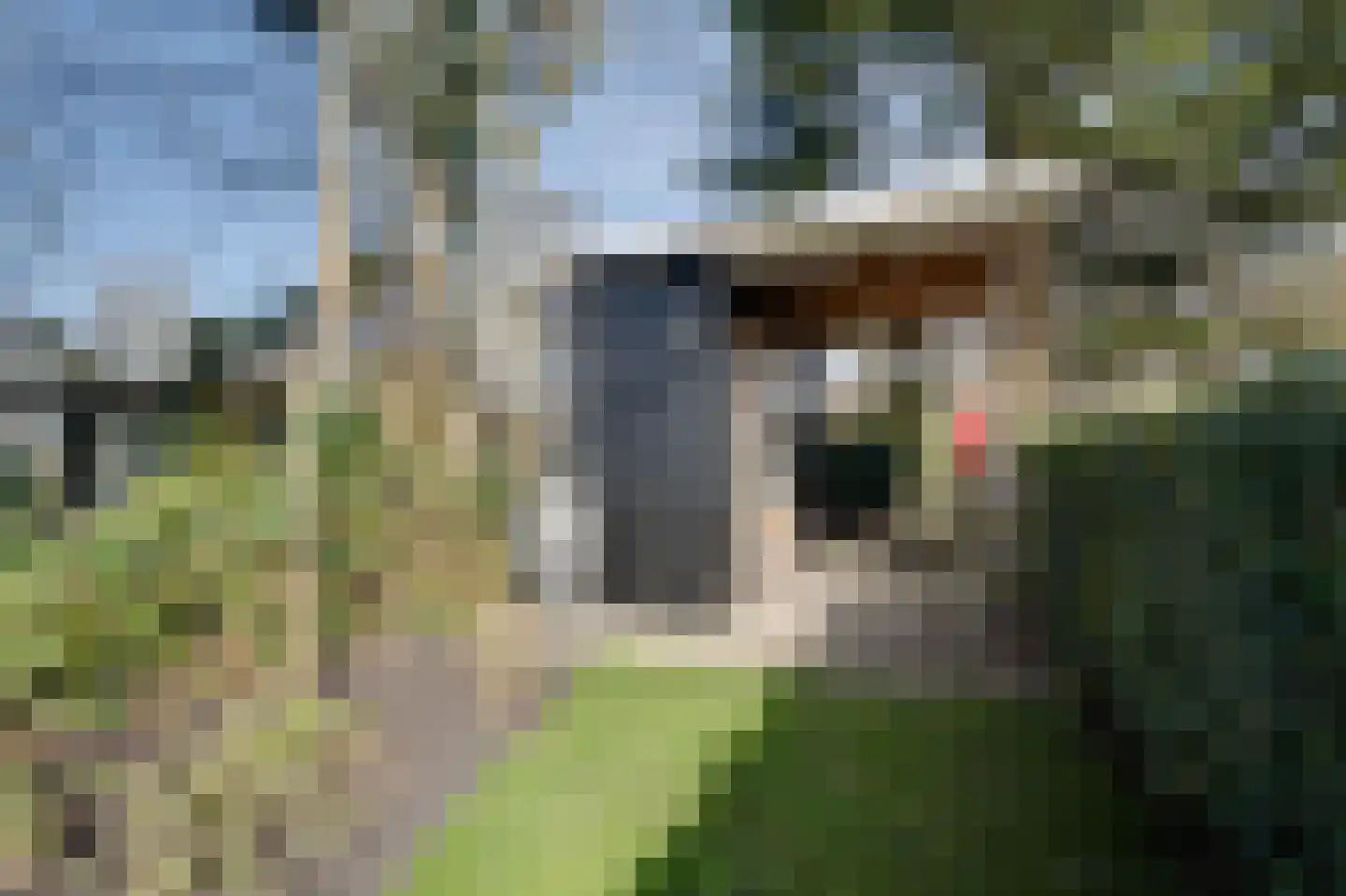 Wilhelminaweg 22 Ouddorp thumbnail 28