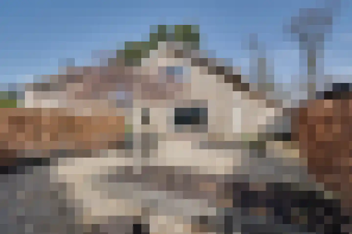 Wilhelminaweg 22 Ouddorp thumbnail 29