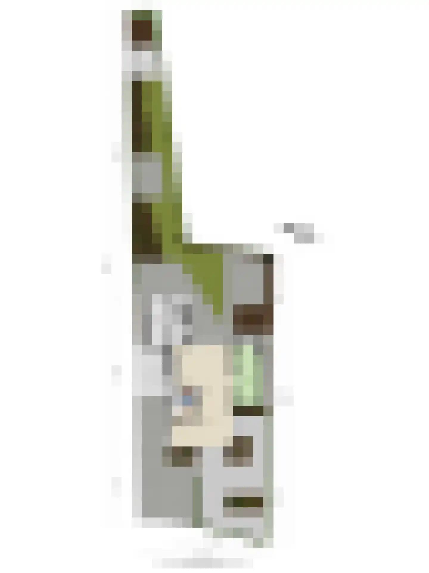 Wilhelminaweg 22 Ouddorp thumbnail 34