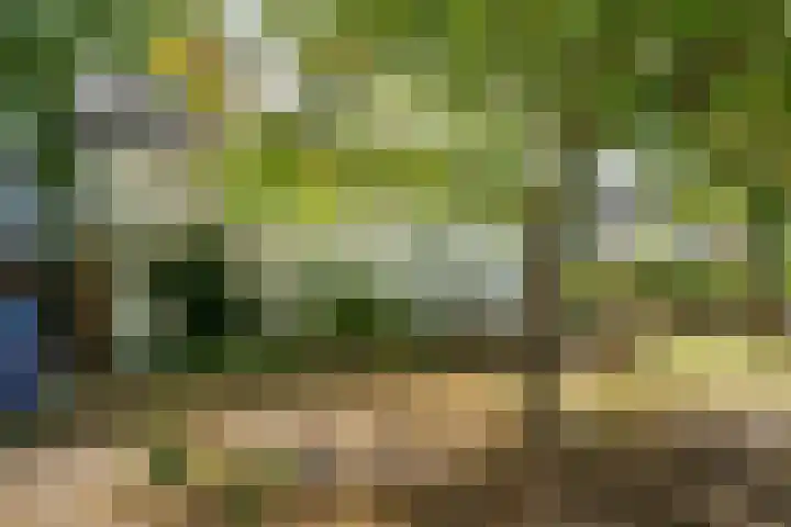 Wilhelminaweg 24 Wageningen thumbnail 27