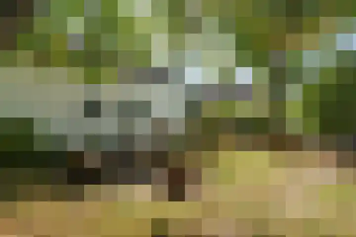 Wilhelminaweg 24 Wageningen thumbnail 28