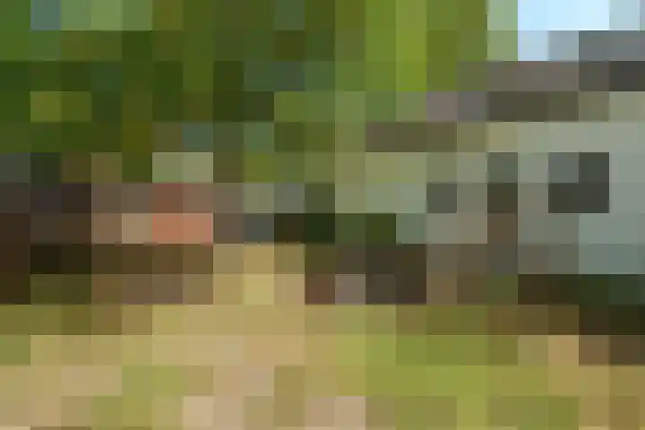 Wilhelminaweg 24 Wageningen thumbnail 29