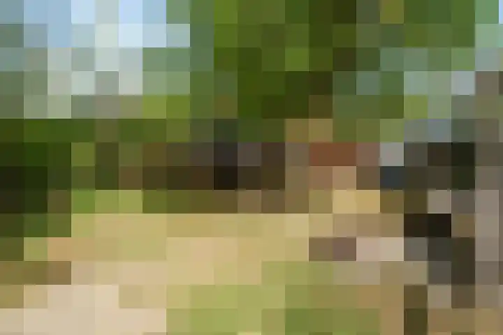 Wilhelminaweg 24 Wageningen thumbnail 30
