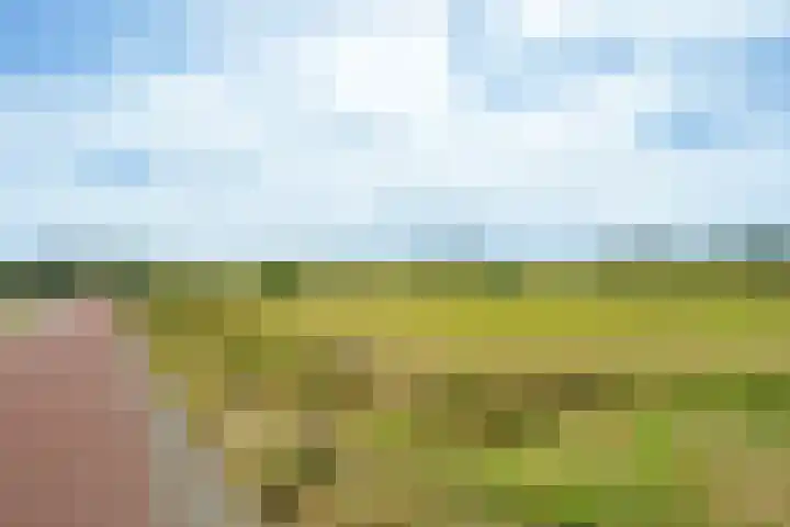 Wilhelminaweg 24 Wageningen thumbnail 31