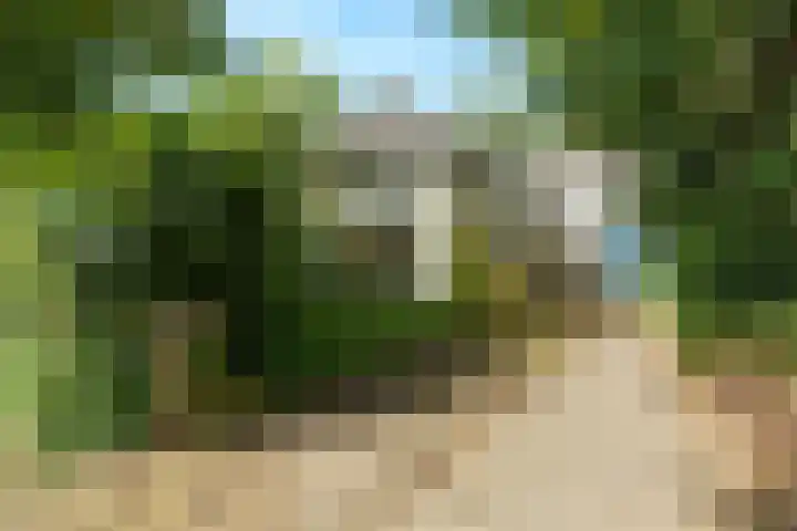 Wilhelminaweg 24 Wageningen thumbnail 4