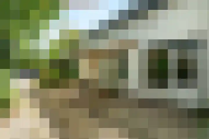 Wilhelminaweg 24 Wageningen thumbnail 6