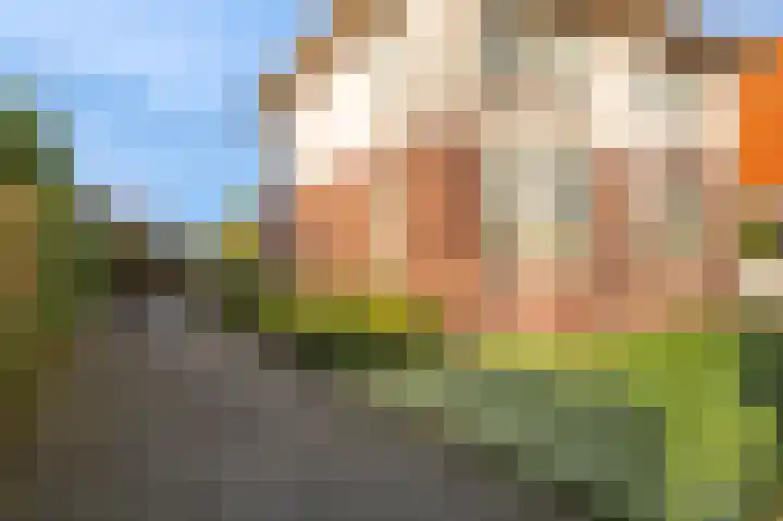 Wilhelminaweg 3 Appingedam thumbnail 12