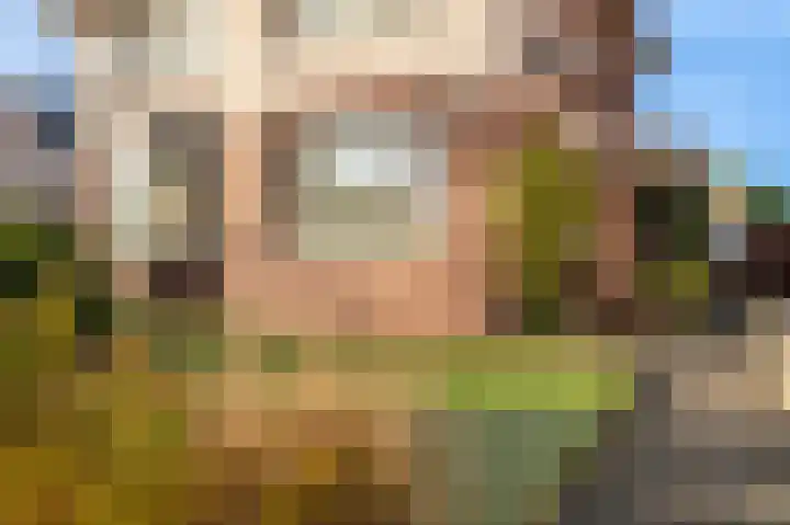 Wilhelminaweg 3 Appingedam thumbnail 13