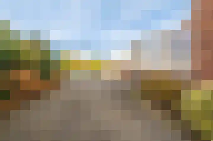 Wilhelminaweg 3 Appingedam thumbnail 15