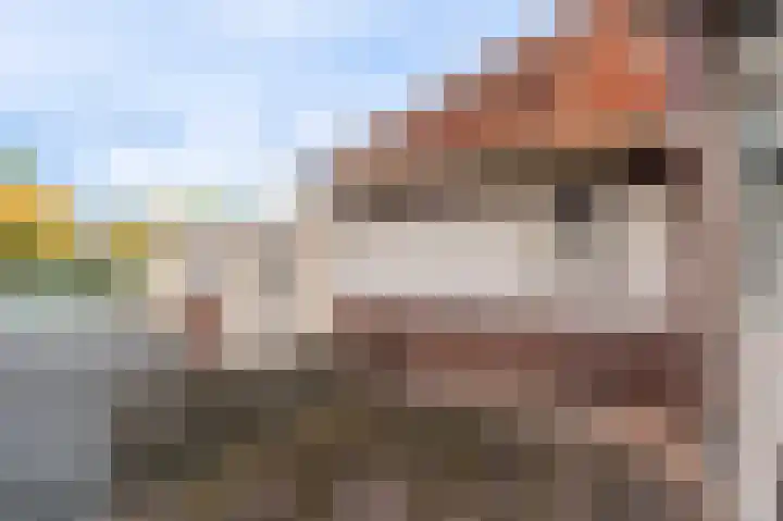 Wilhelminaweg 3 Appingedam thumbnail 19