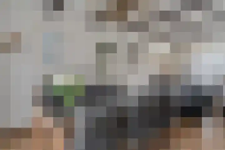Wilhelminaweg 3 Appingedam thumbnail 35