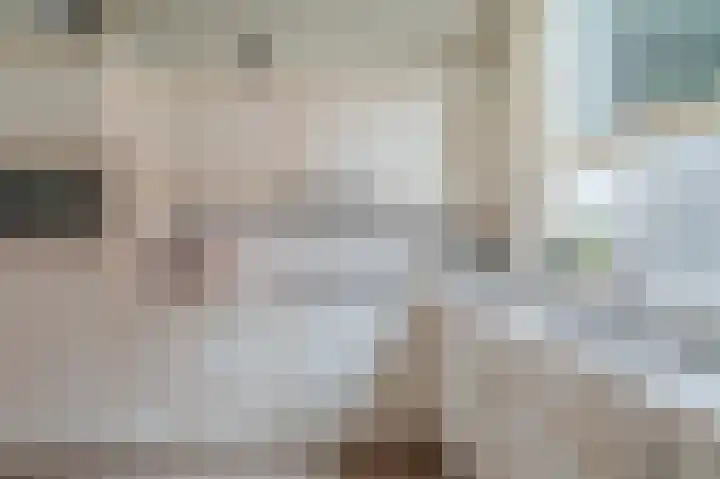 Wilhelminaweg 3 Appingedam thumbnail 38