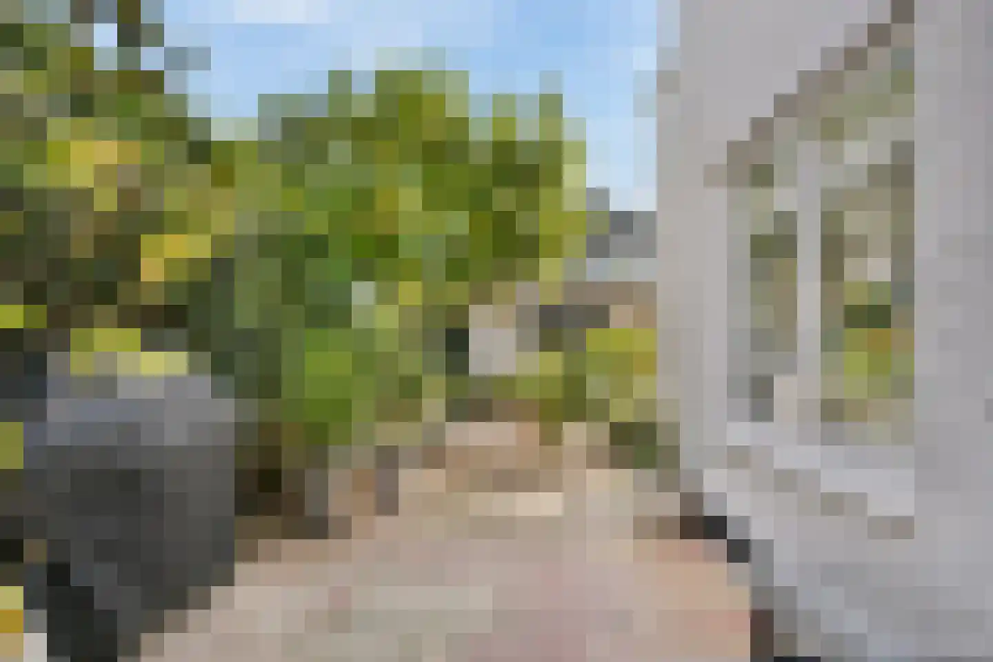 Wilhelminaweg 3 Zandvoort thumbnail 14
