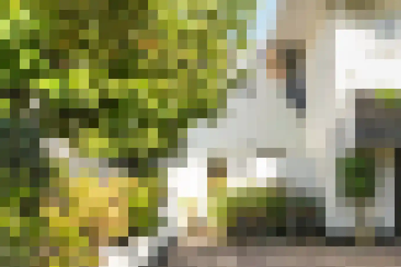 Wilhelminaweg 3 Zandvoort thumbnail 42
