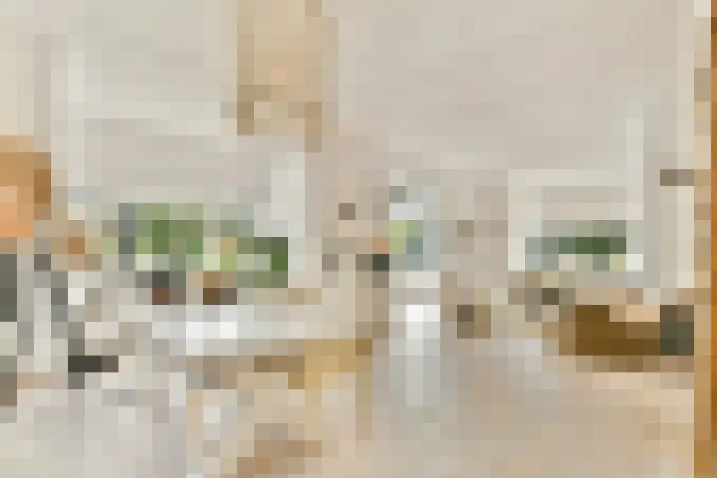 Wilhelminaweg 3 Zandvoort thumbnail 8