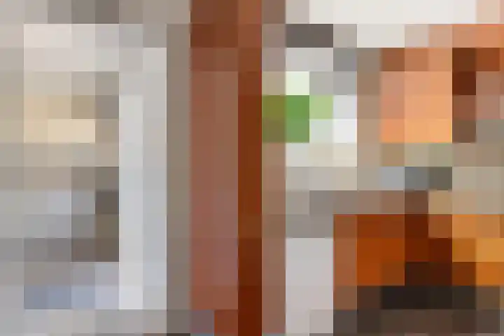 Wilhelminaweg 32 Woerden thumbnail 11