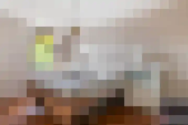Wilhelminaweg 32 Woerden thumbnail 17