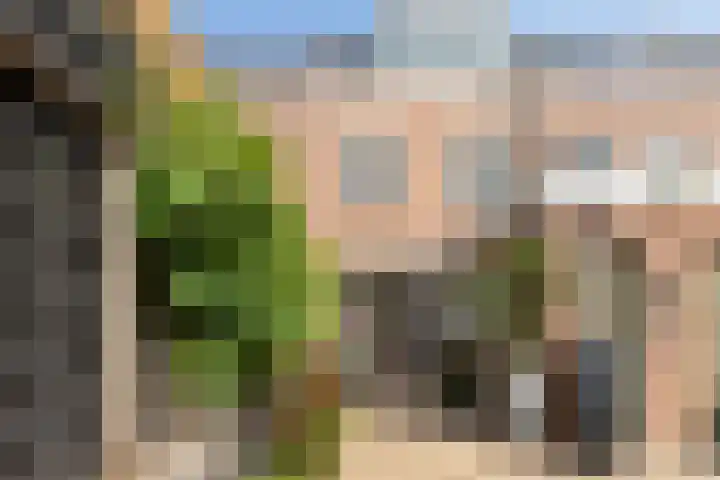 Wilhelminaweg 32 Woerden thumbnail 24