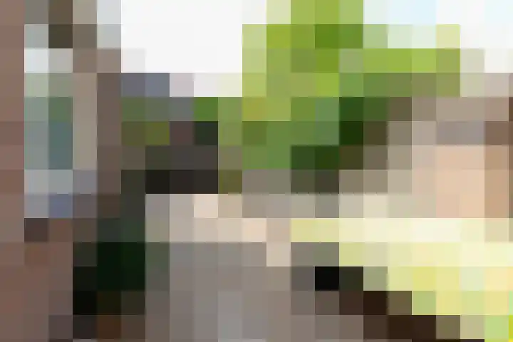 Wilhelminaweg 32 Woerden thumbnail 25