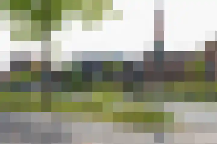 Wilhelminaweg 32 Woerden thumbnail 28