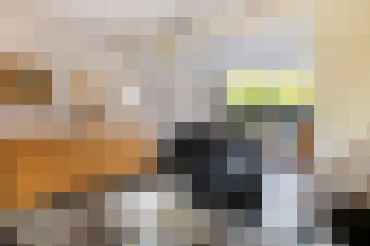 Wilhelminaweg 32 Woerden thumbnail 6