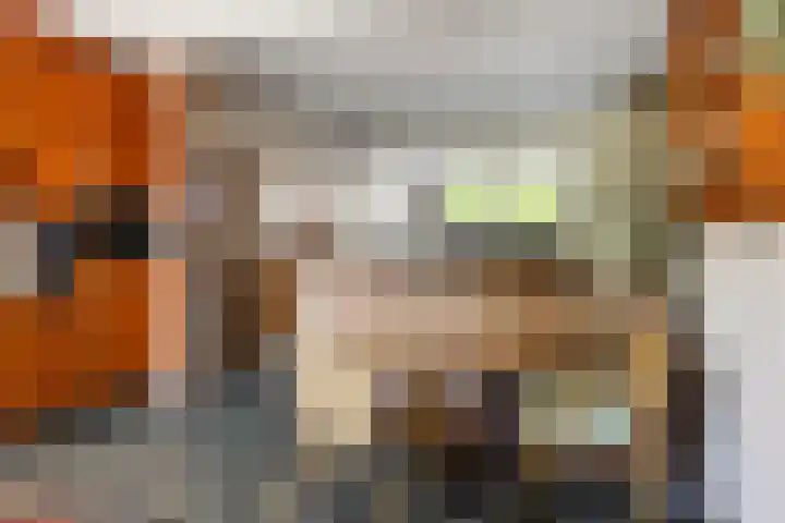 Wilhelminaweg 32 Woerden thumbnail 8