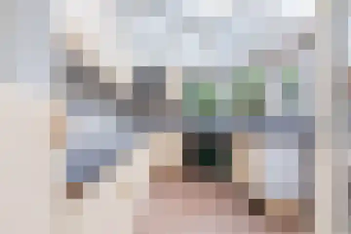 Wilhelminaweg 4 Wageningen thumbnail 17