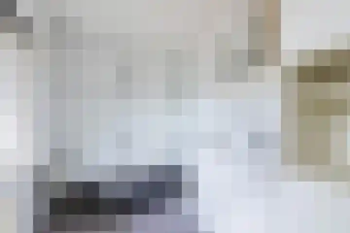 Wilhelminaweg 4 Wageningen thumbnail 35