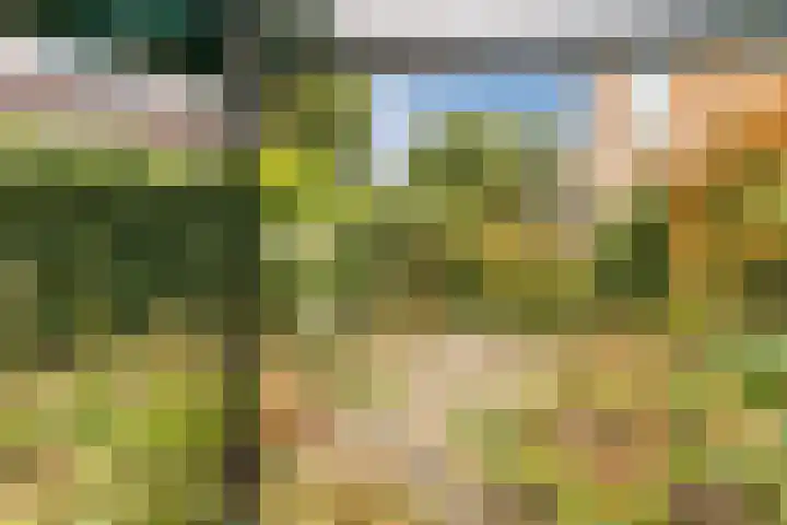 Wilhelminaweg 4 Wageningen thumbnail 52