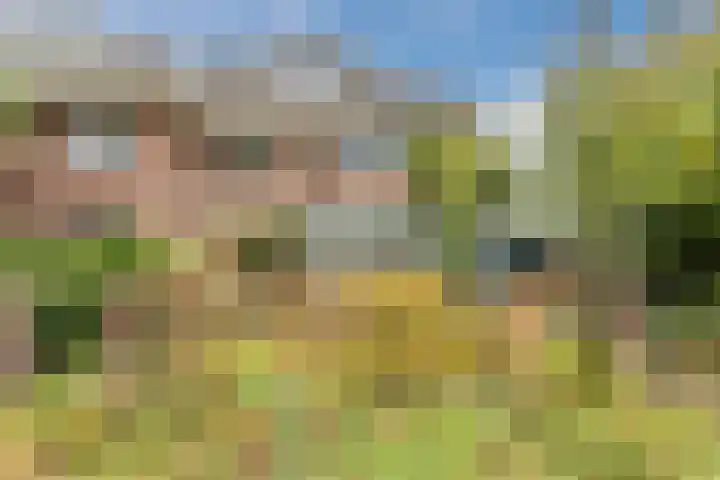 Wilhelminaweg 4 Wageningen thumbnail 55