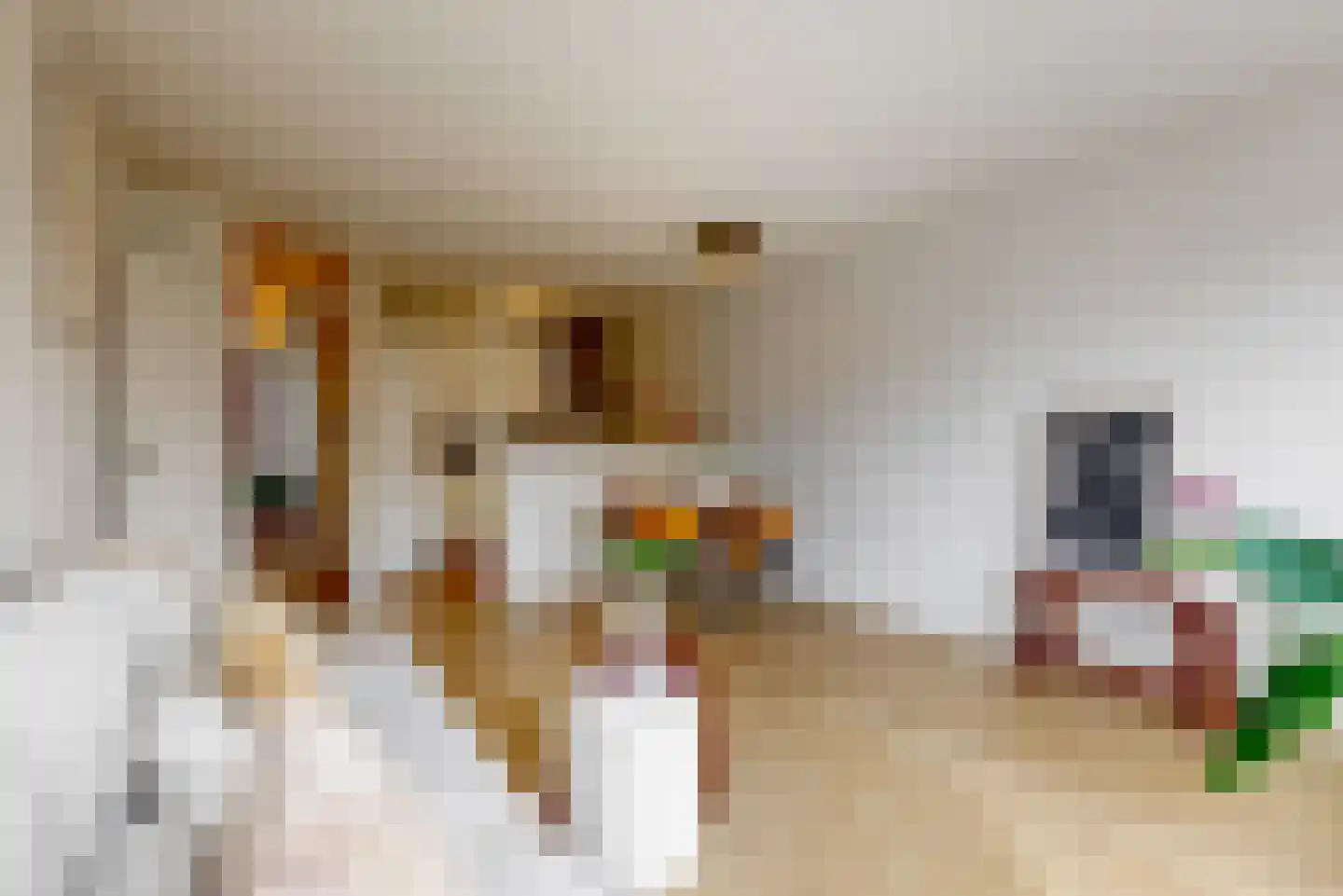 Wilhelminaweg 41 Woerden thumbnail 9