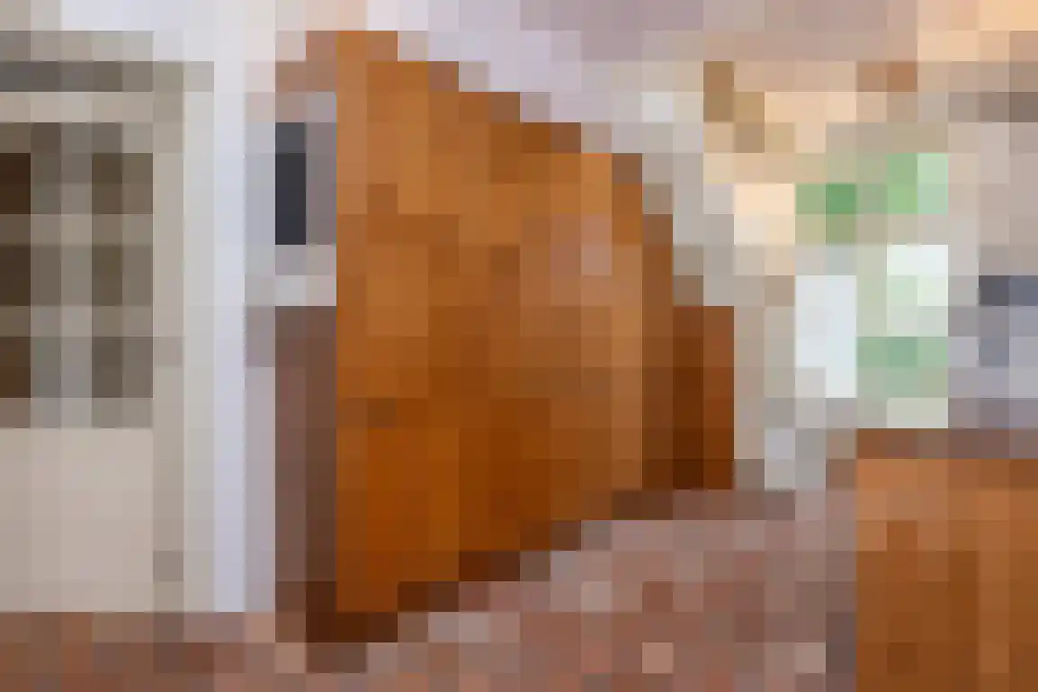 Wilhelminaweg 54 Ouddorp thumbnail 12